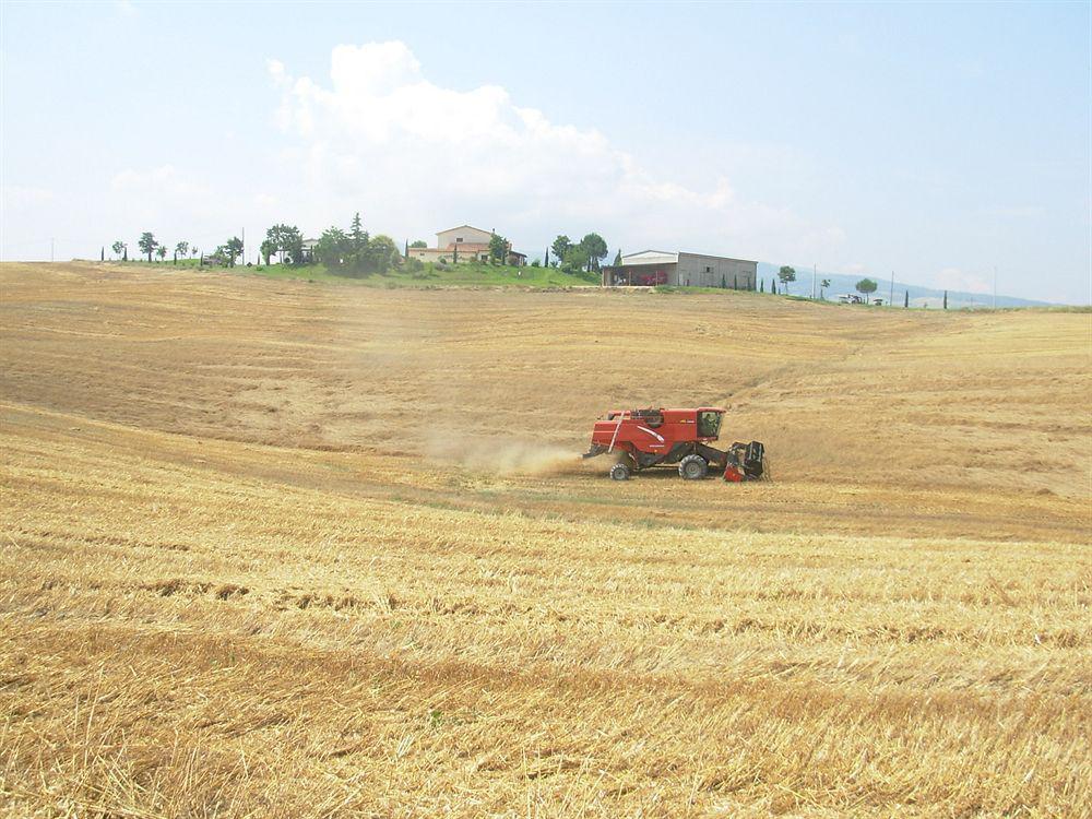 Agriturismo Sant' Ansano Pension Castiglione dʼOrcia Buitenkant foto